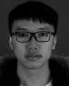 graphic file with name cheng-3102584.gif