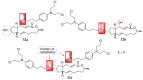 Figure 25