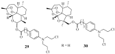 Figure 23