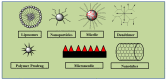 Figure 28