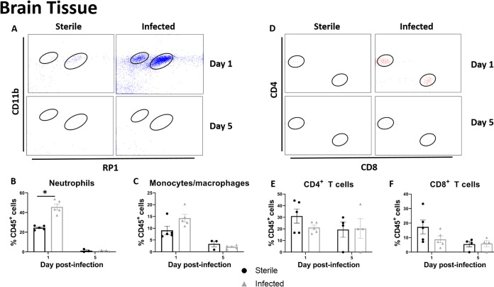 FIG 4