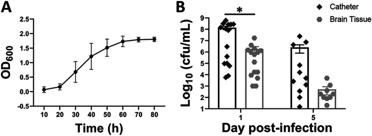 FIG 1