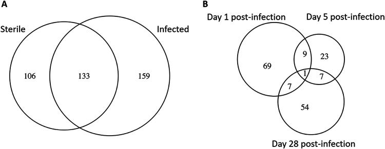 FIG 5