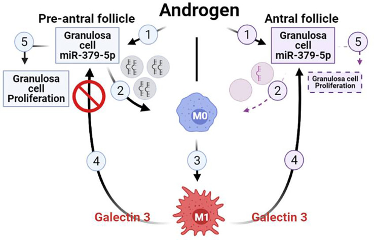 Figure 4