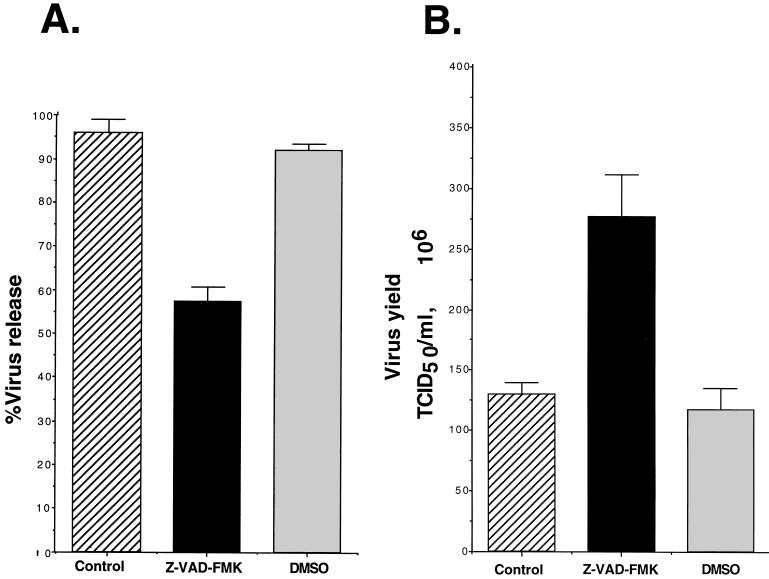 FIG. 11
