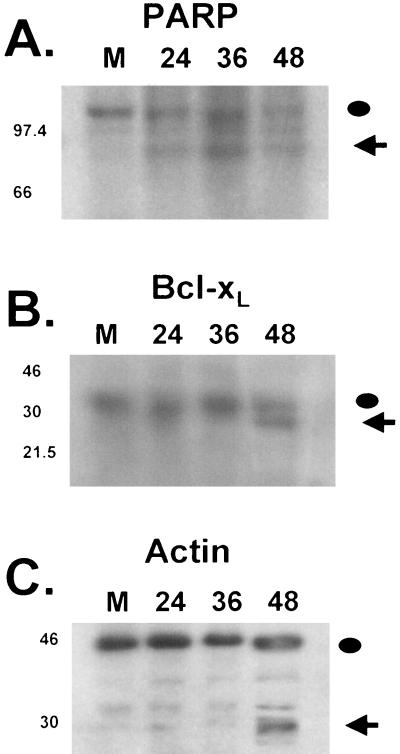 FIG. 9