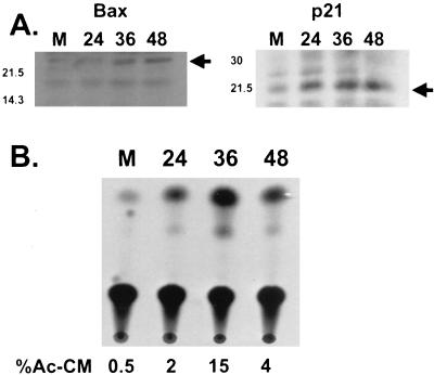 FIG. 6