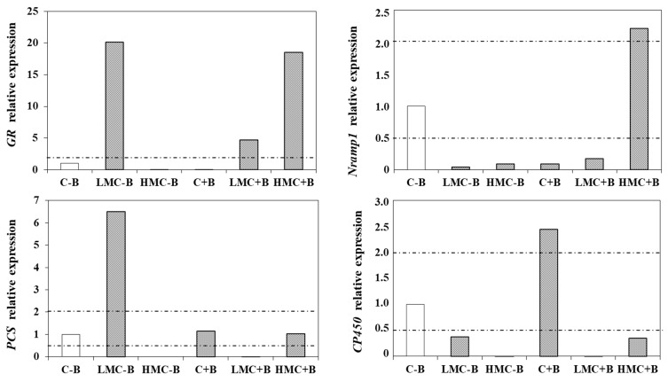 Figure 5