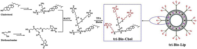 Fig. 10