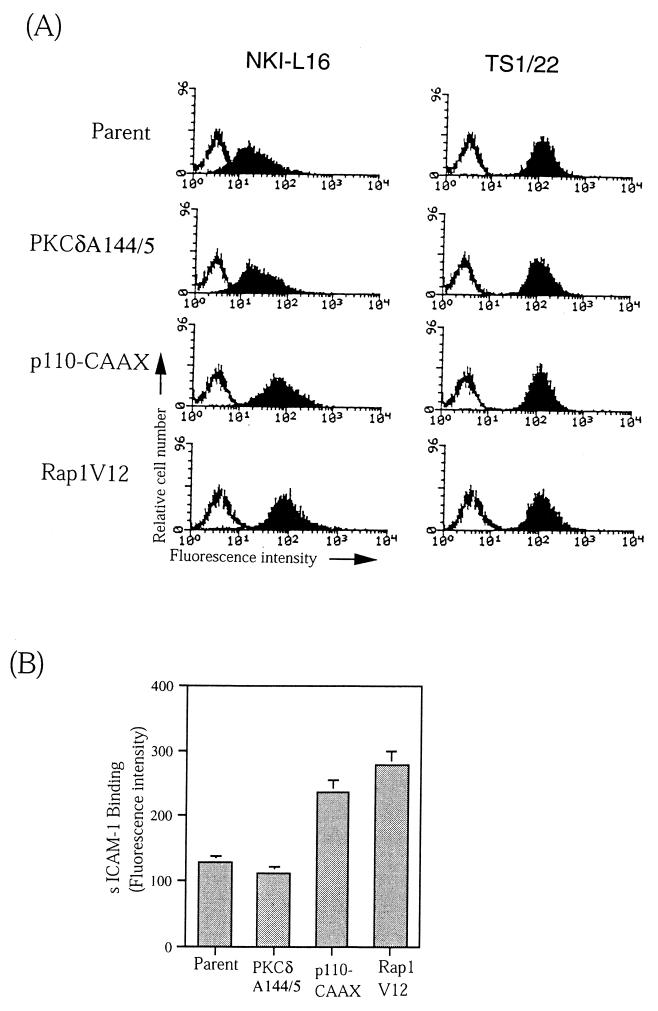 FIG. 6