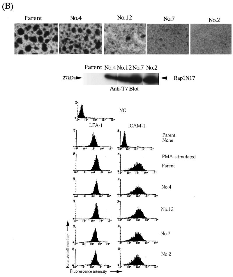 FIG. 8