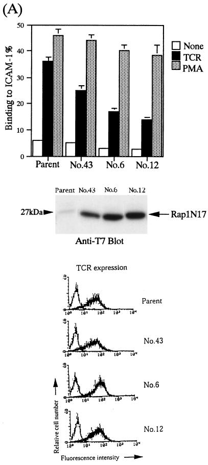 FIG. 8