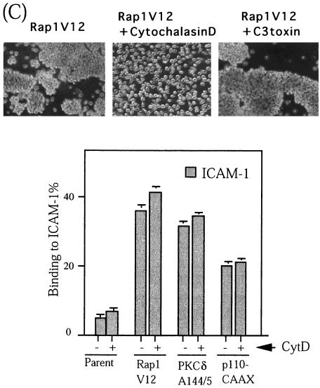 FIG. 7