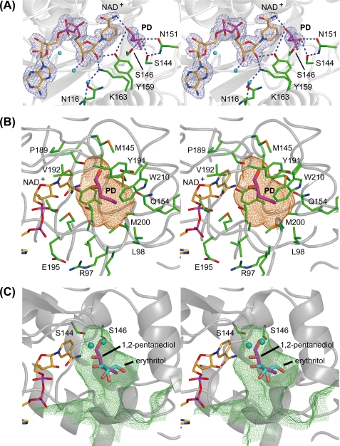 FIGURE 4.