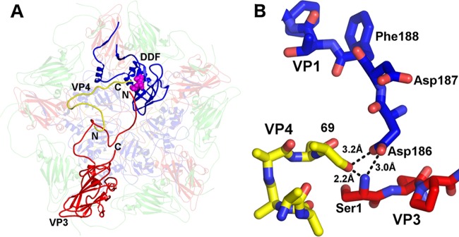 FIG 5