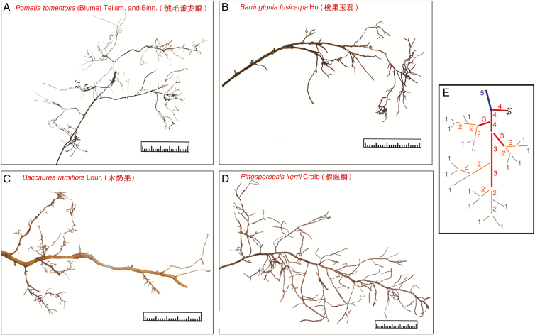 Fig. 1.