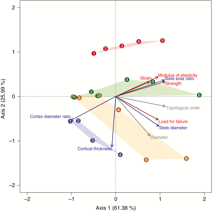 Fig. 6.