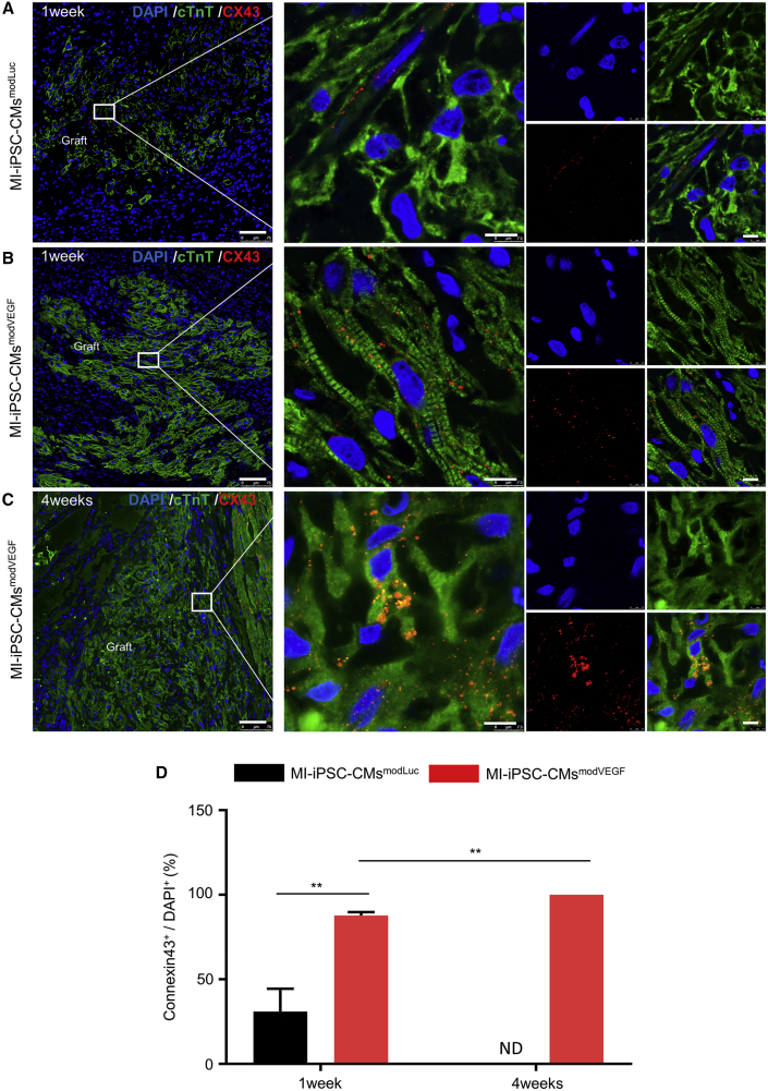 Figure 6