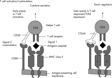 graphic file with name cp32300.f2.jpg