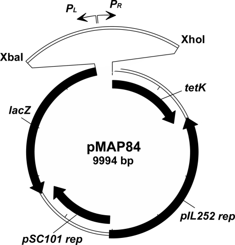 FIG. 1.