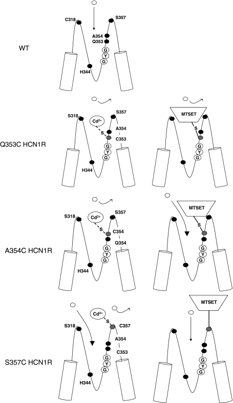 Fig. 10