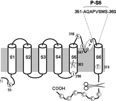 Fig. 1