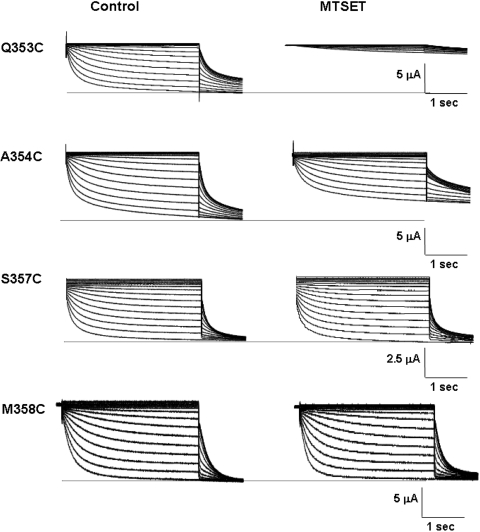 Fig. 5