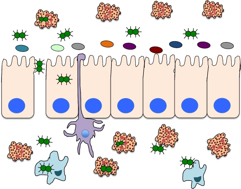 Figure 1.