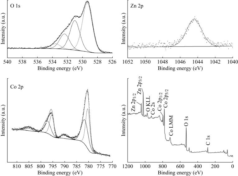 Fig. 2