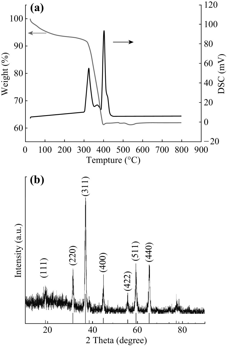 Fig. 1