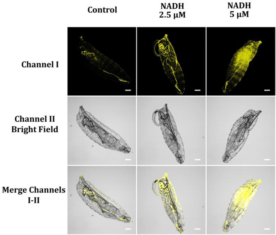 Figure 15.