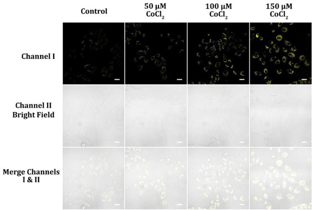 Figure 10.