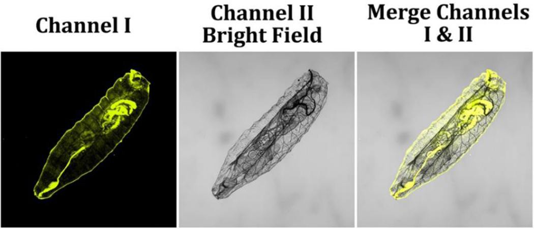 Figure 16.