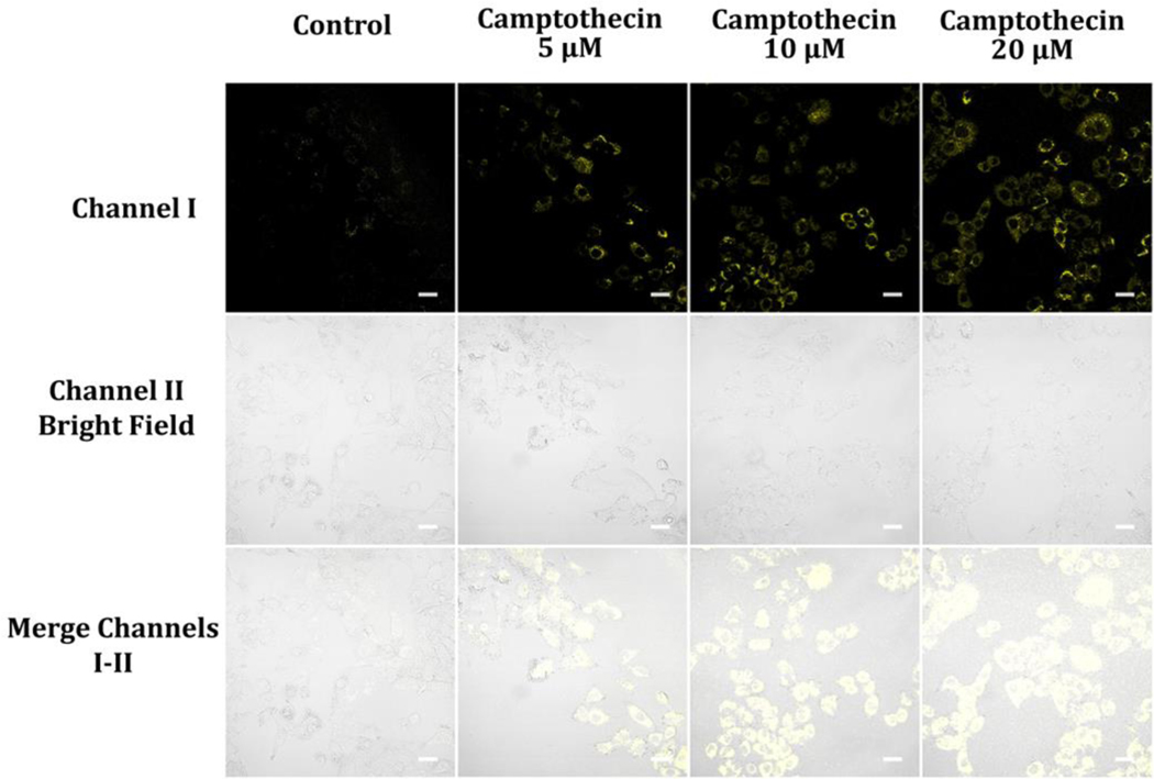 Figure 13.