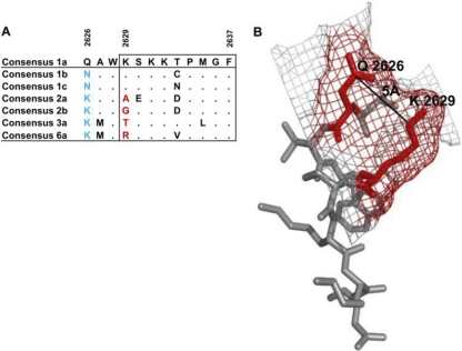 Fig. 6.