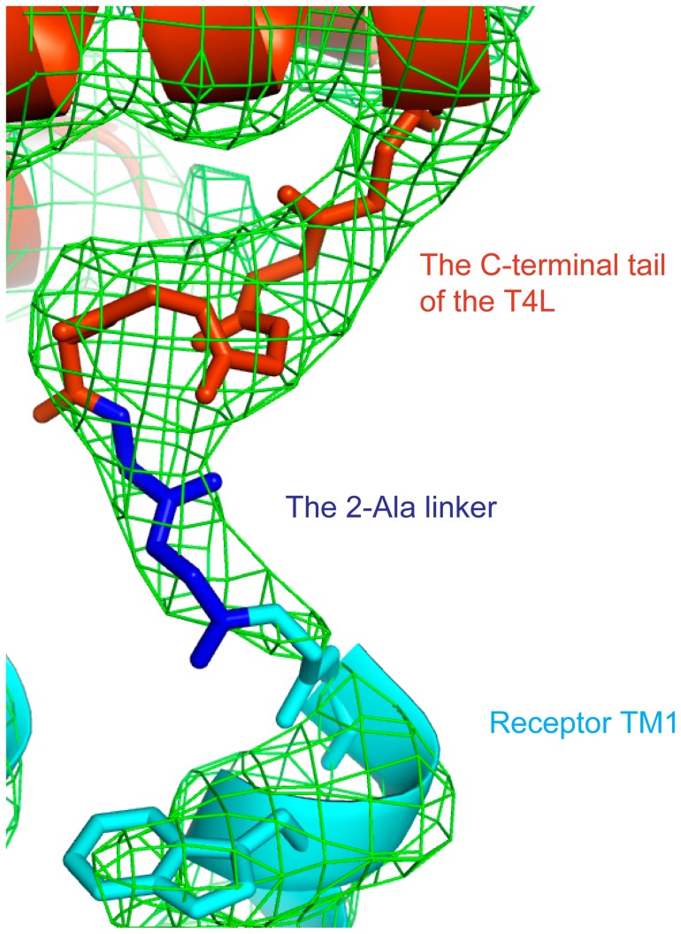 Figure 4