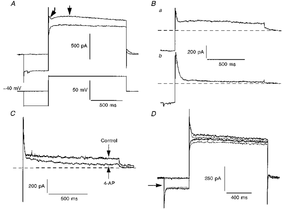 Figure 11