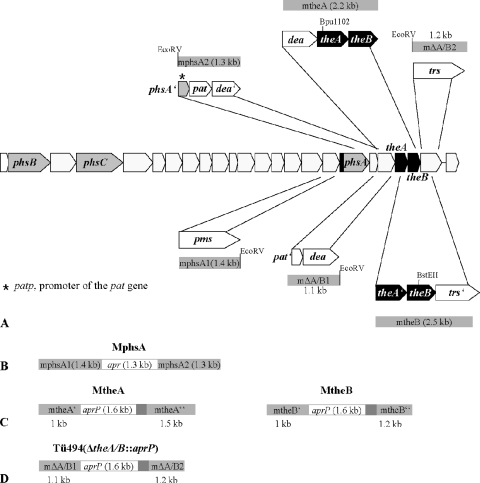 FIG. 2.