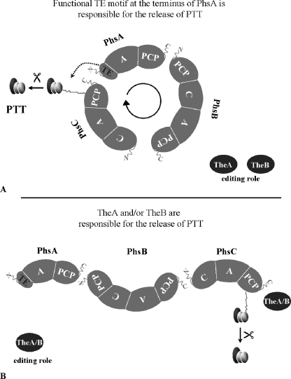 FIG. 6.