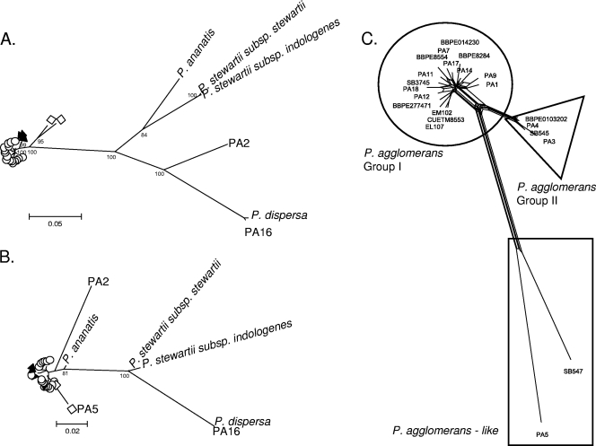 FIG. 2.