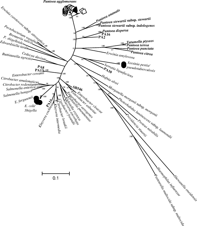 FIG. 1.