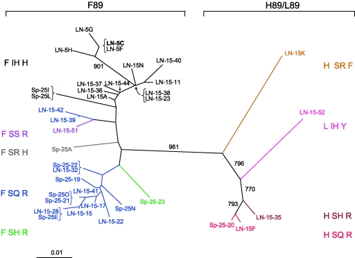 FIG. 8.