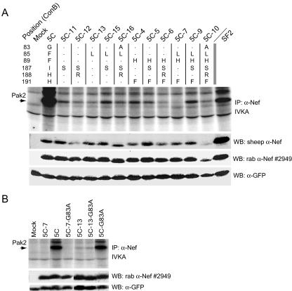 FIG. 5.