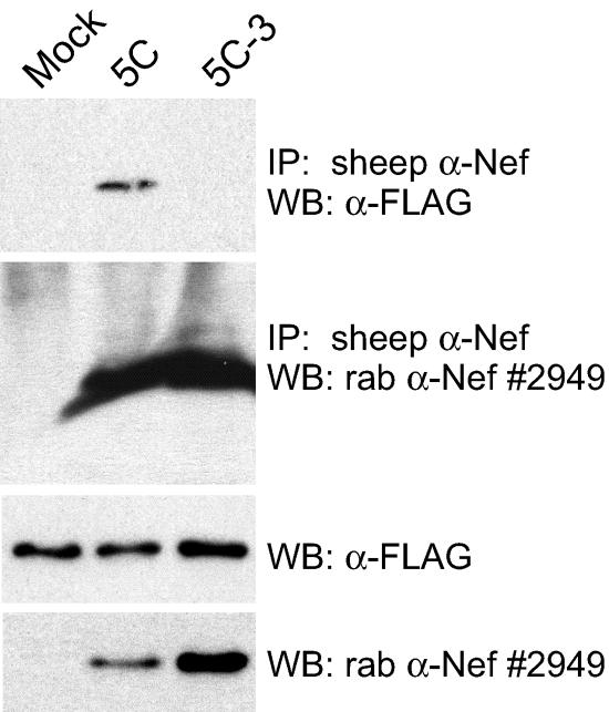 FIG. 6.