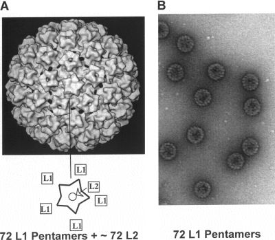 FIG. 5.