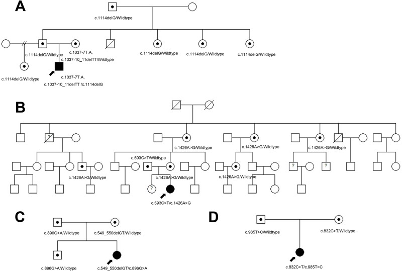 Fig 3