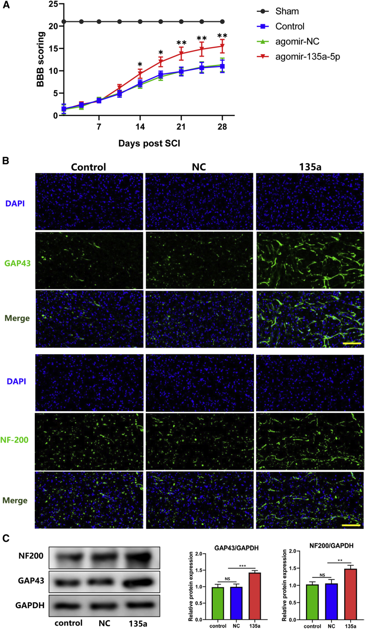 Figure 6