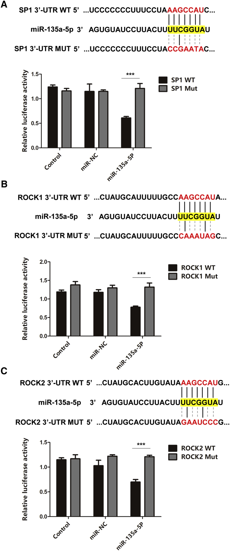 Figure 5