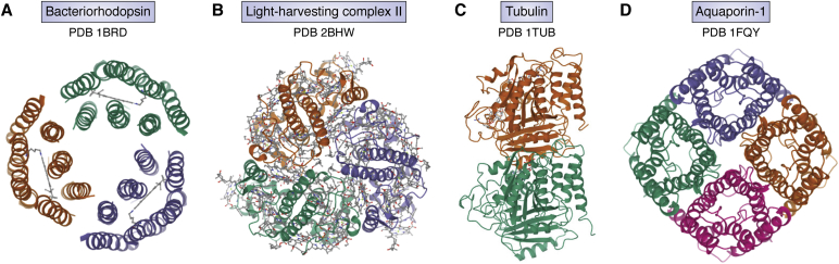 Figure 1