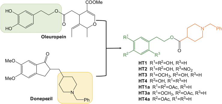 FIGURE 1